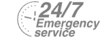 24/7 Emergency Service Pest Control in Leytonstone, E11. Call Now! 020 8166 9746