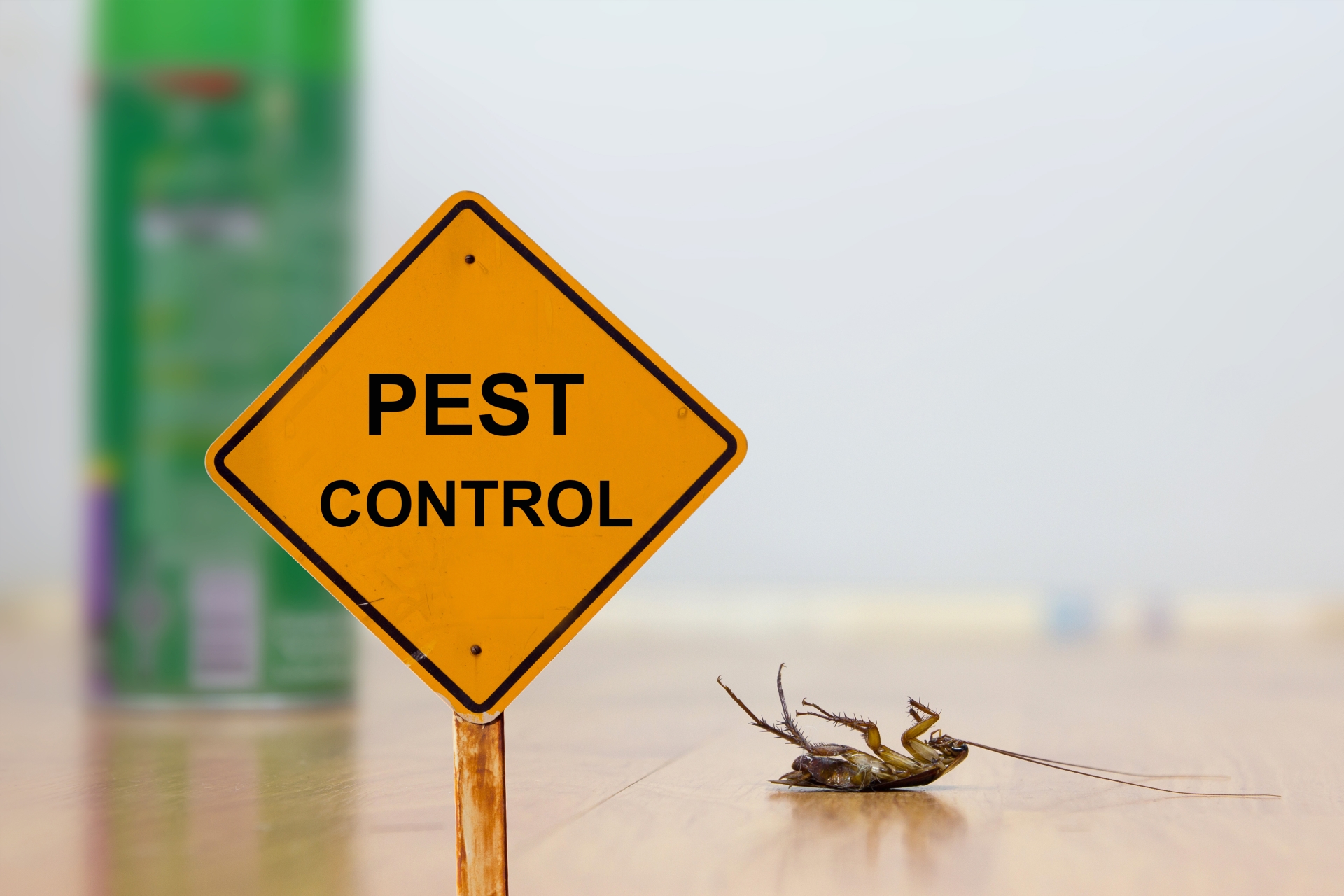 24 Hour Pest Control, Pest Control in Leytonstone, E11. Call Now 020 8166 9746